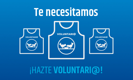Hazte voluntari@ del banco de alimentos de Cádiz